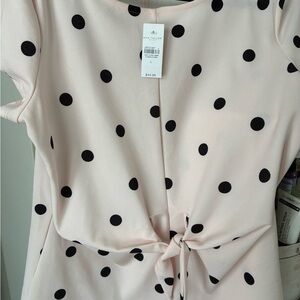 Ann Taylor Black and Cream Polka Dot Tie-Front Blouse
